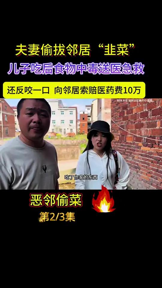 邻居偷我家菜，误把洋水仙当韭菜吃，中毒后找我索赔医药费……