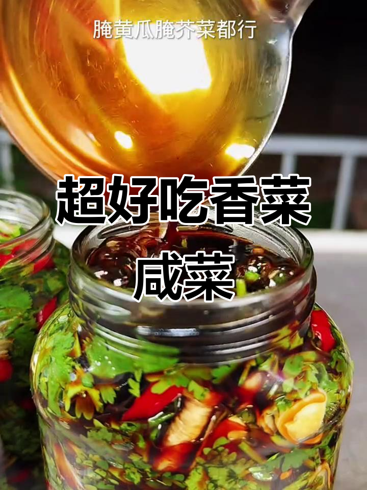 香菜咸菜简单又美味,酱香浓郁下饭神器