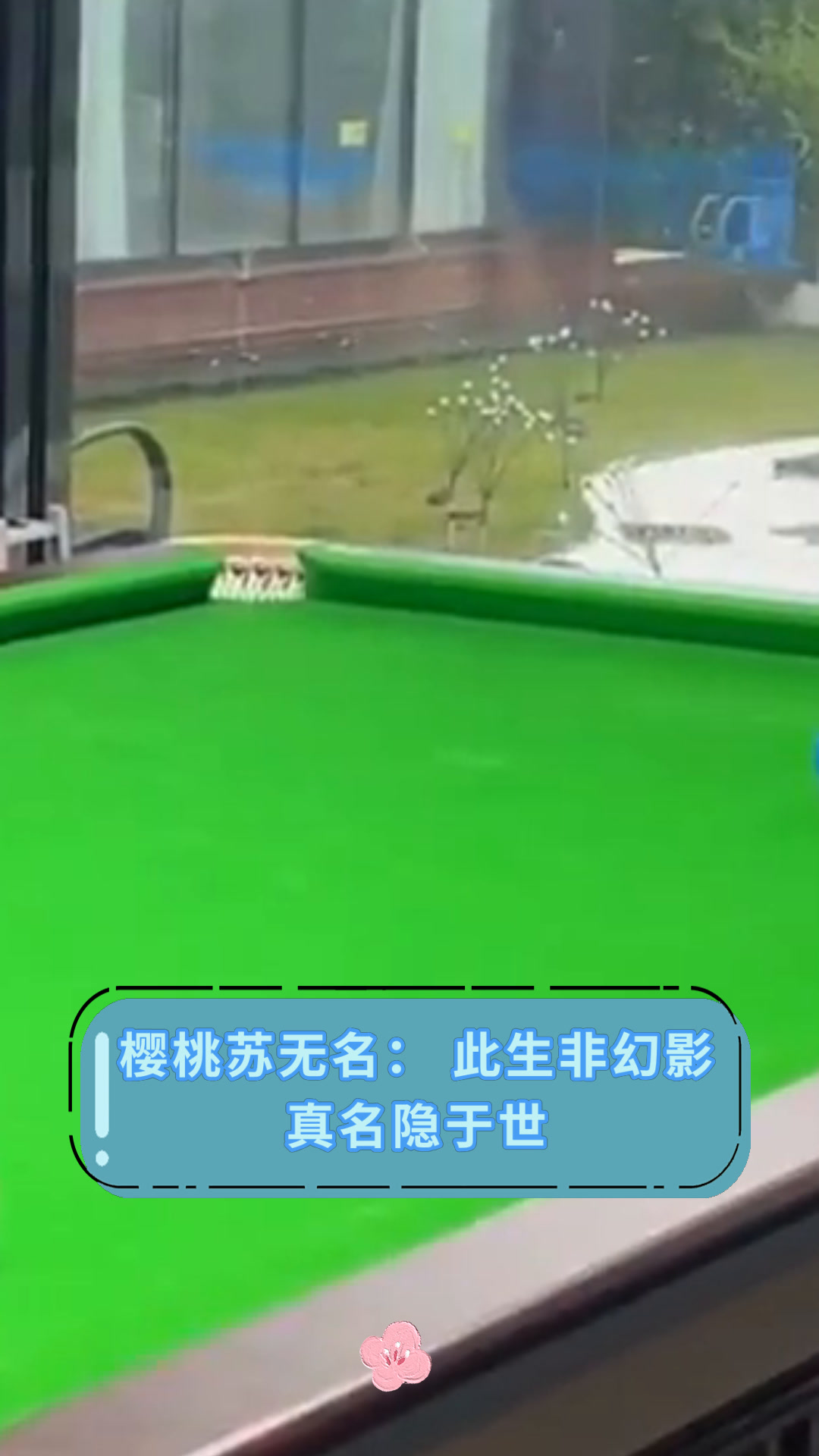 樱桃苏无名:此生非幻影真名隐于世