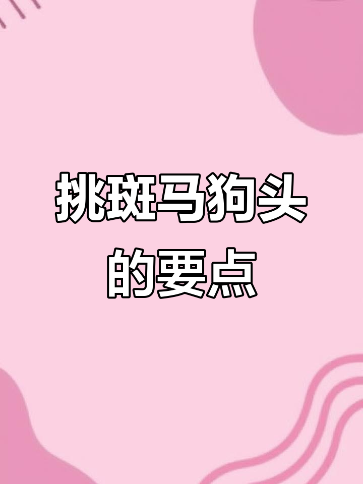 如何挑选斑马狗头?牙口最重要,颜色可变