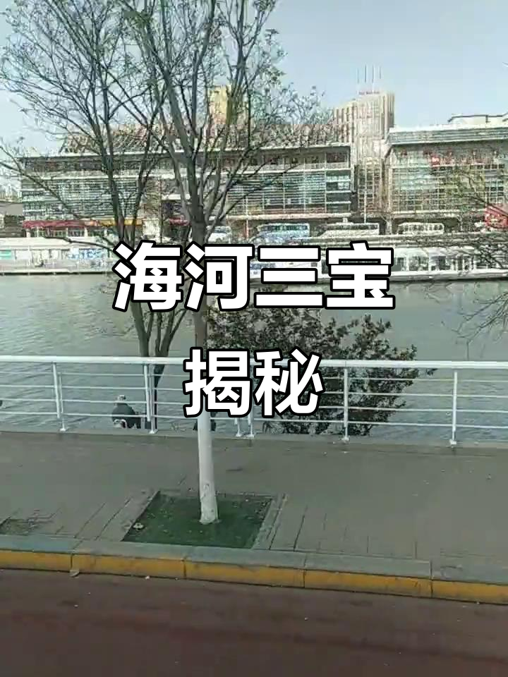 天津海河的神秘宝藏:小而美的金眼鱼与鲍子蟹