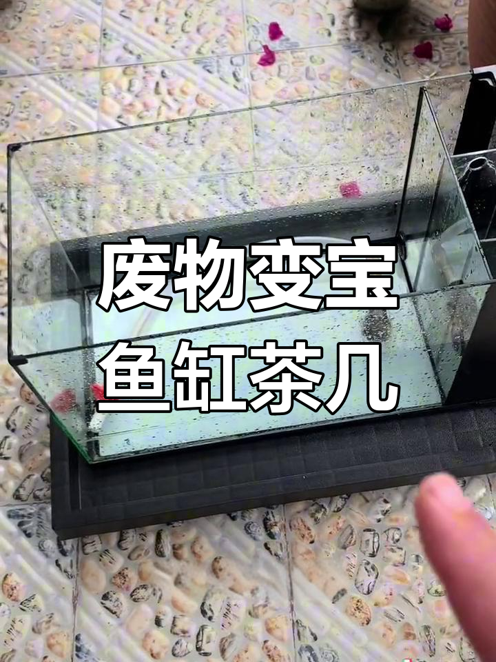 旧鱼缸变身茶几,创意改造乐趣多