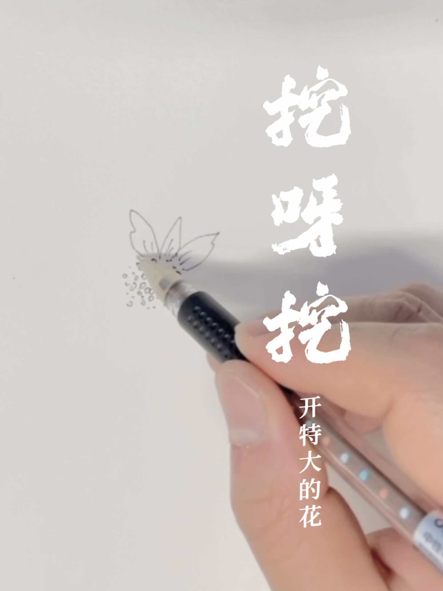 小小的种子开小小的花,大大的种子开大大的花,特别大的种子开特别大的花 原创作品 想画就画 