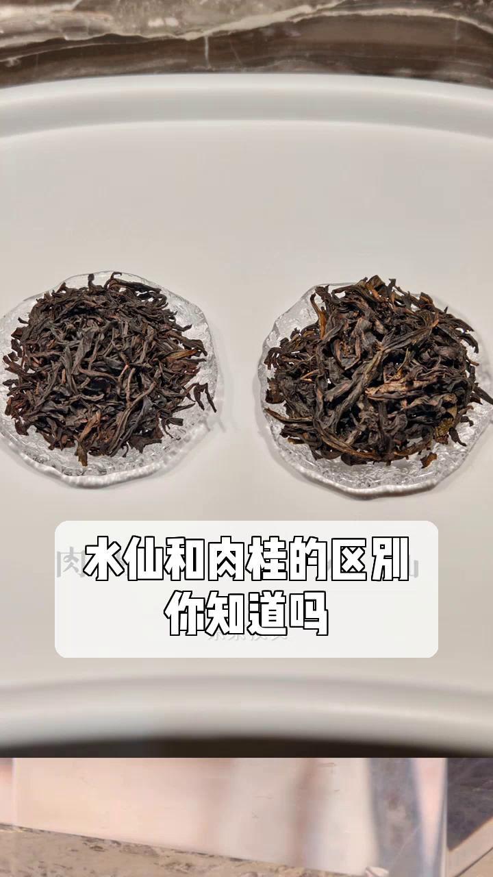 水仙和肉桂的区别,你知道吗?