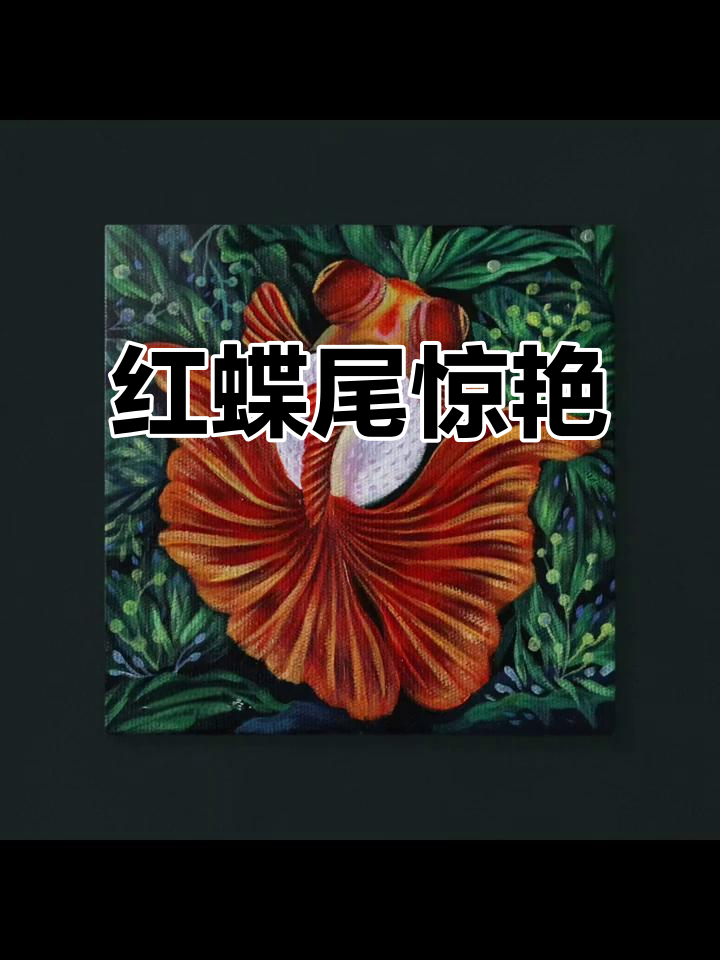 12红蝶尾金鱼,反翘尾巴惊艳绝伦,画作留念
