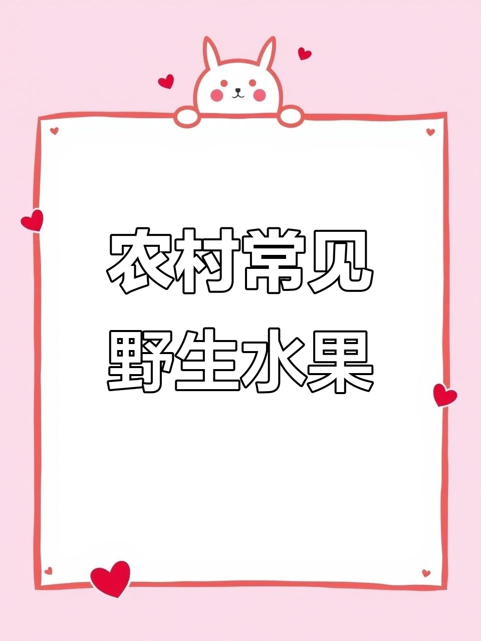云贵川常见野生水果大揭秘,看看你吃过几种?