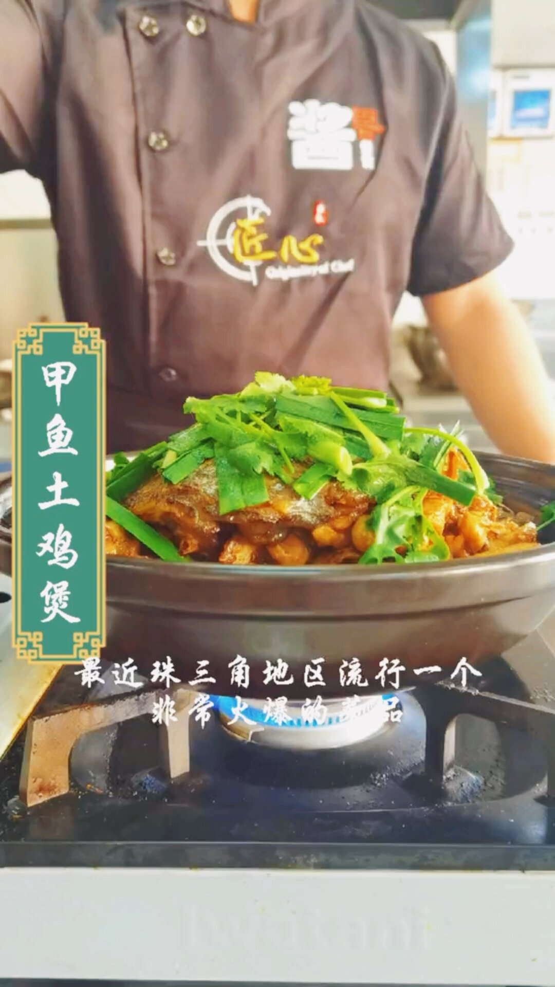 广东做法甲鱼鸡煲,甲鱼炖鸡煲,甲鱼鸡煲饭