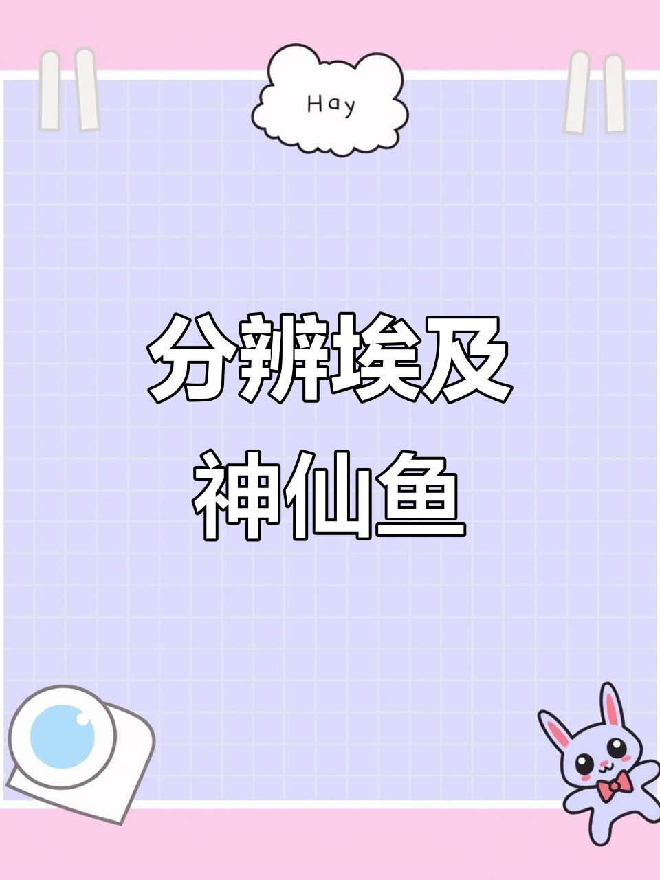 如何区分野生与人工埃及神仙鱼?动线特征揭秘