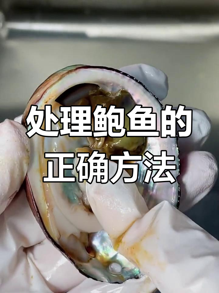 鲍鱼处理技巧大揭秘,90%的人不知道