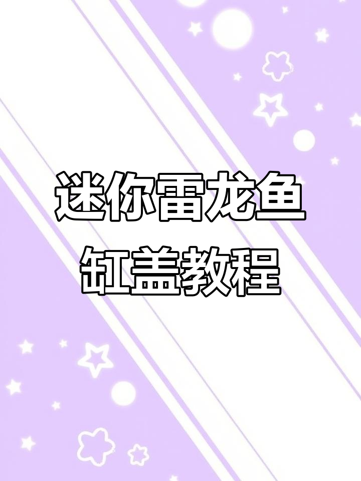 小型雷龙鱼缸盖制作教程，简单又实用