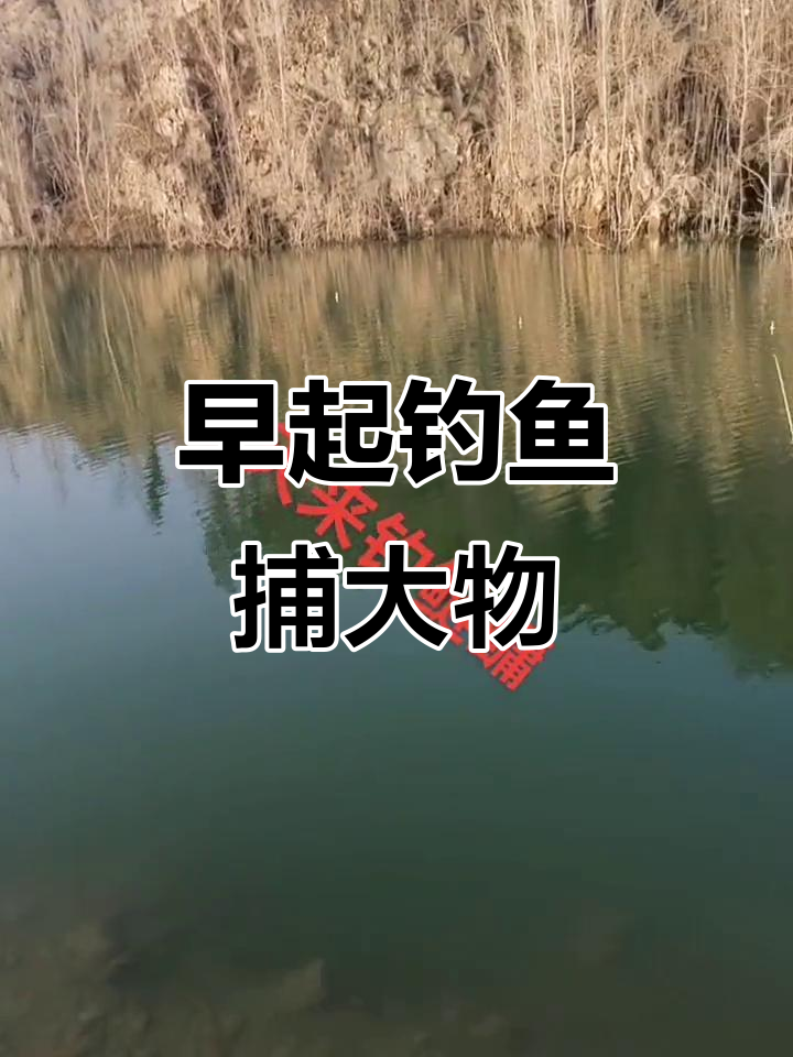 清晨河边钓大鱼,雾中漂浮无界线