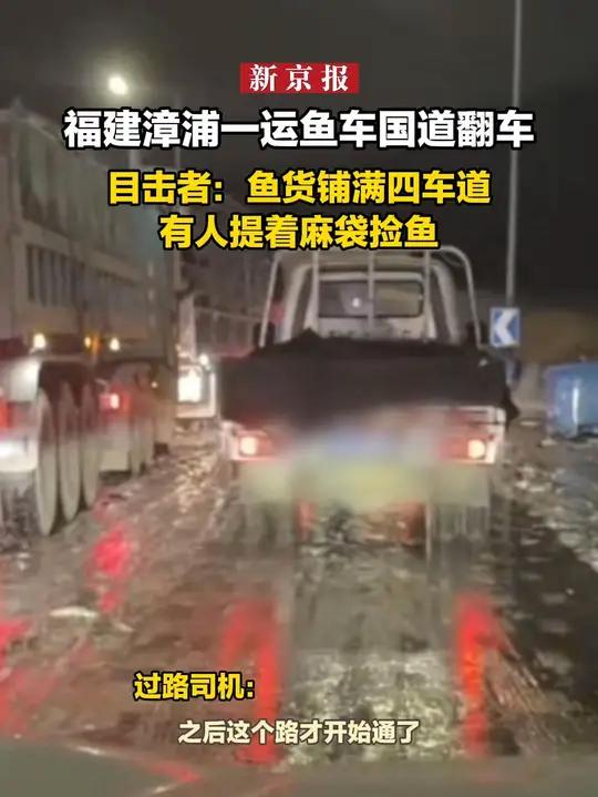 福建漳浦一运鱼车国道翻车 目击者:鱼货铺满四车道,有人提着麻袋捡鱼