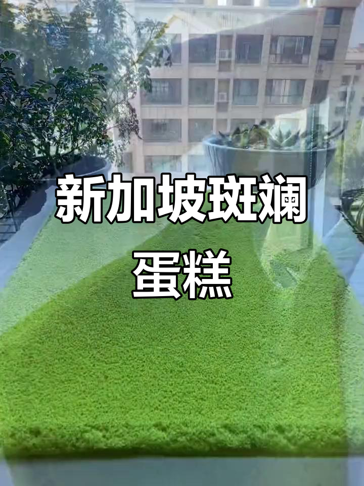 尝一口新加坡斑斓蛋糕,瞬间被它的香气征服!
