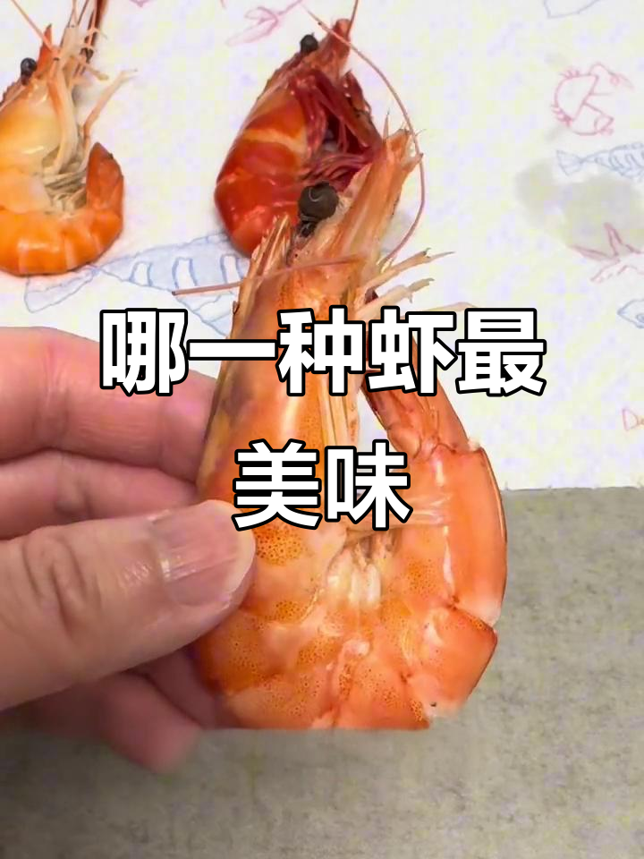 三种虾的口感大比拼,哪种最好吃?