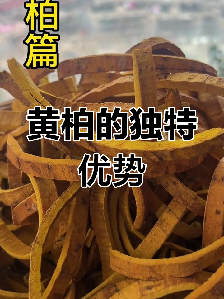 黄柏凭借独特产地与药效,成为中药材中的佼佼者