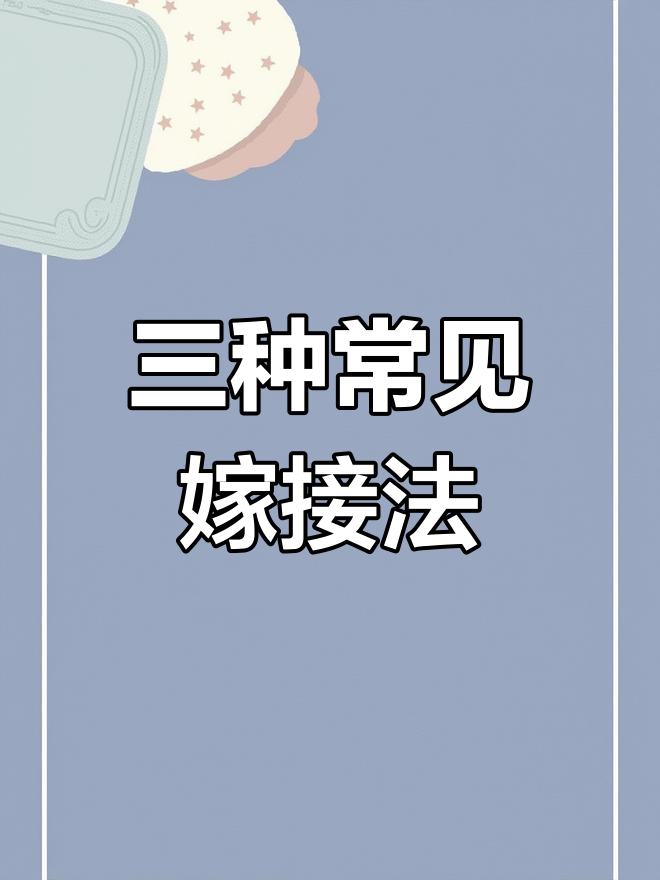 嫁接技巧大揭秘:三种常用方法详解