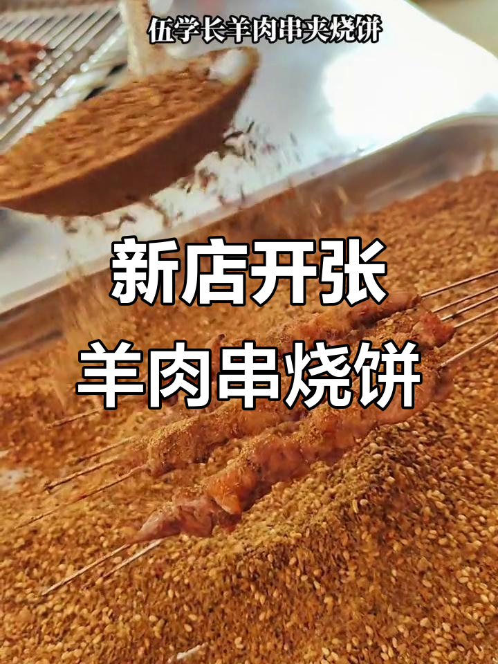 民权伍学长新店开业,羊肉串夹烧饼热销!