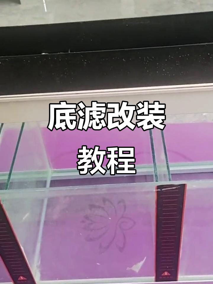 底滤改造大揭秘:从直角溢流到干湿分离的完美转变