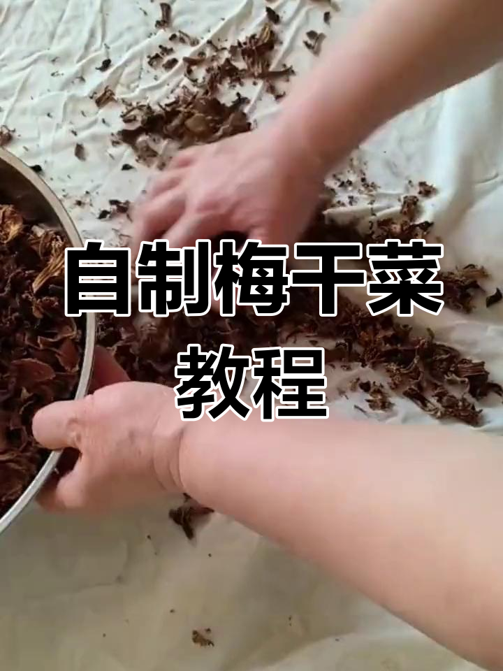 轻松自制梅干菜,三蒸三晒香气扑鼻