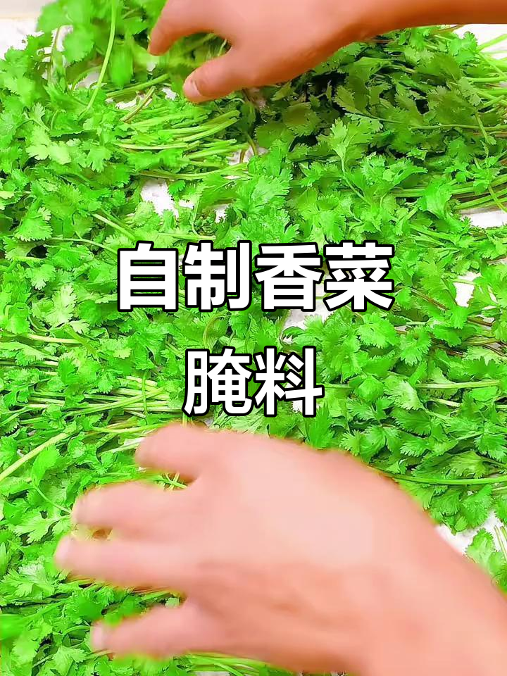香菜新做法，教你如何腌制出独特风味