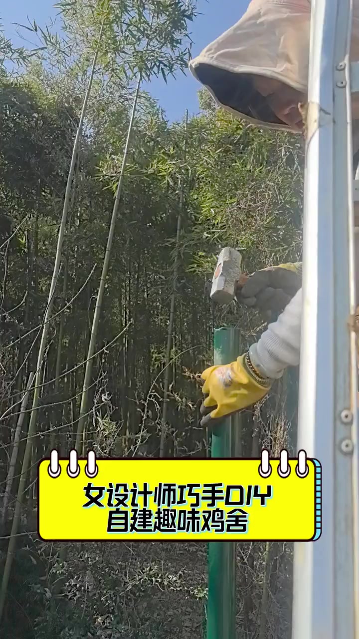 女设计师巧手DIY,自建趣味鸡舍