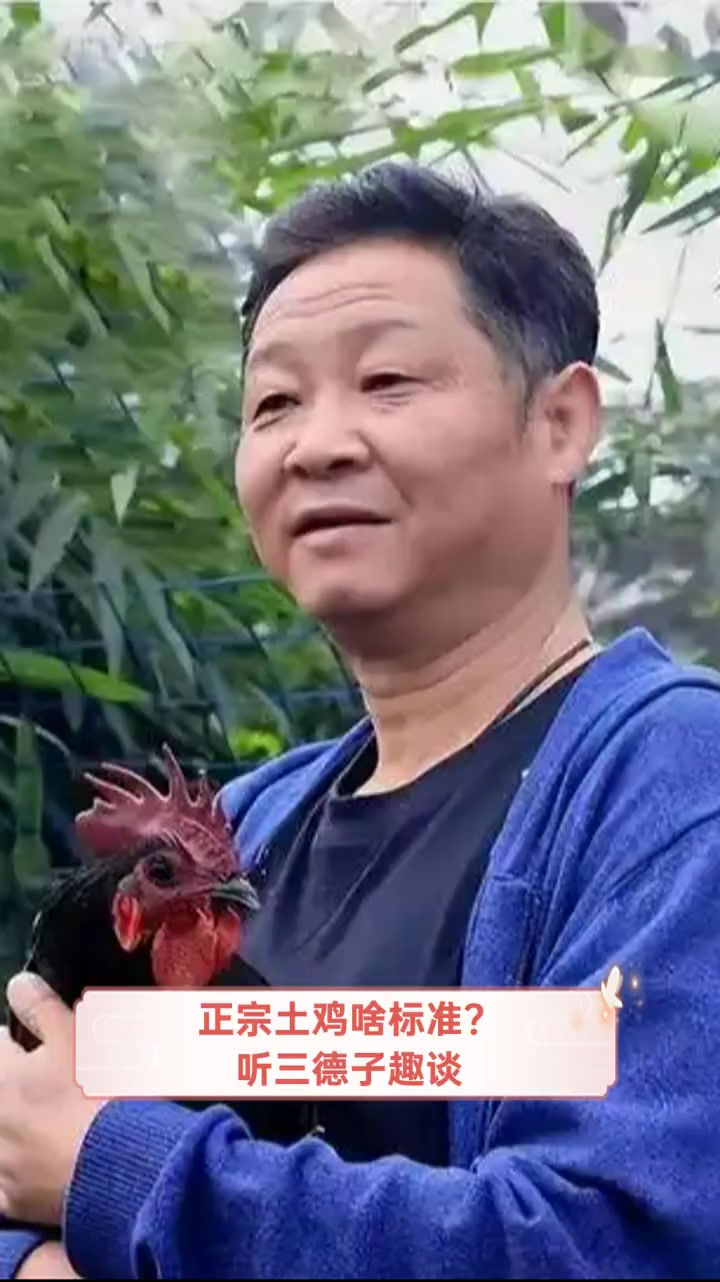 正宗土鸡啥标准?听三德子趣谈