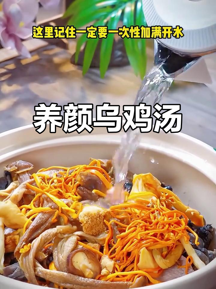 秋冬必备乌鸡汤，滋补养颜，女性常喝气色红润