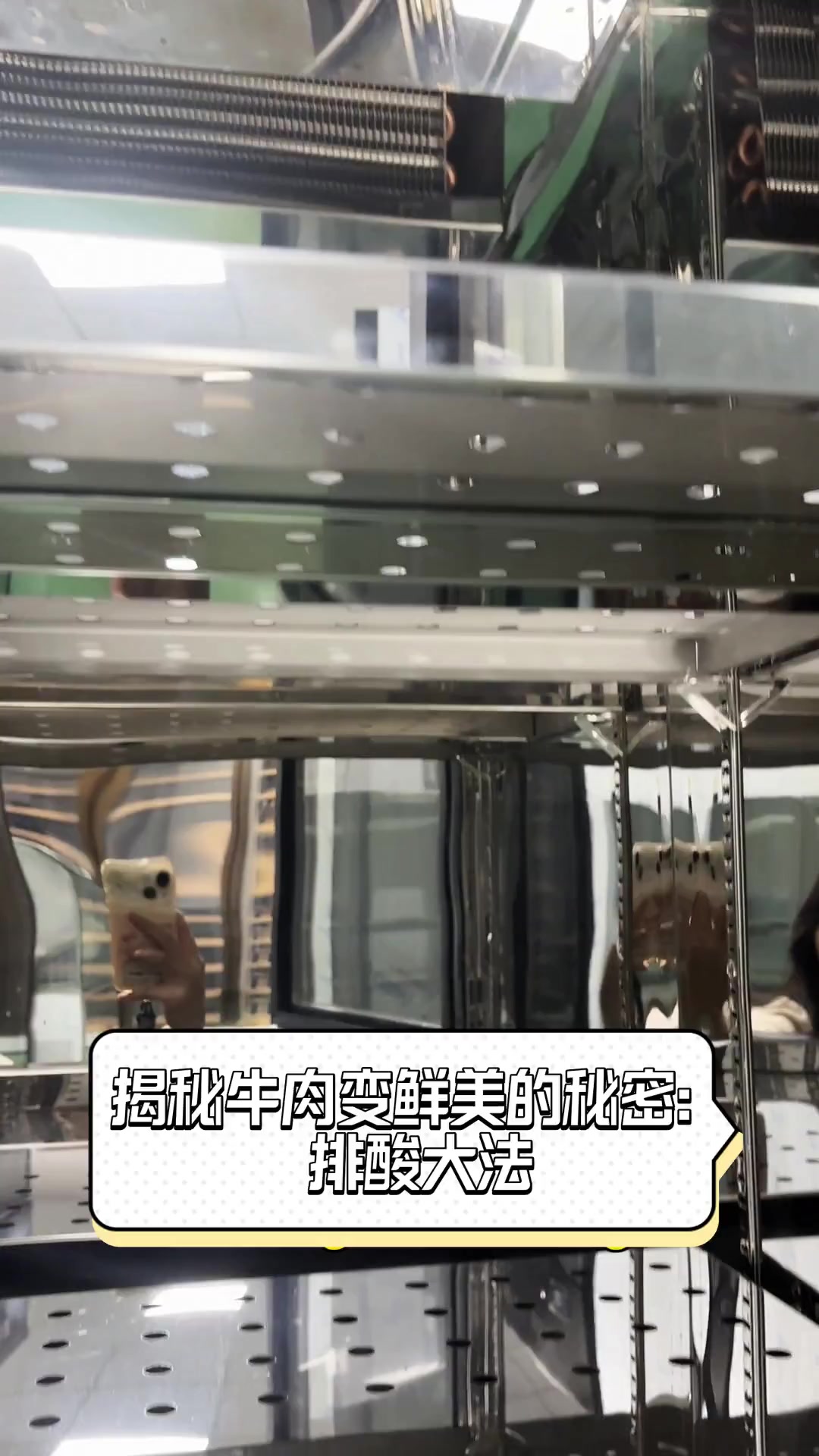 揭秘牛肉变鲜美的秘密:排酸大法