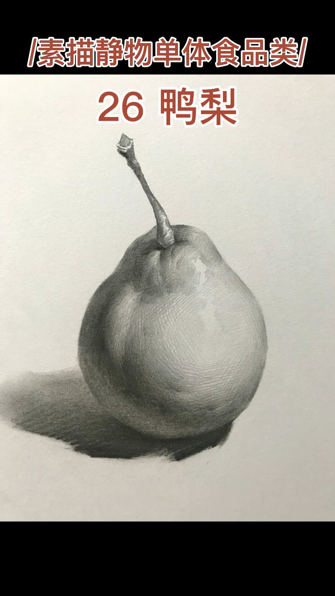 素描静物单体鸭梨的画法