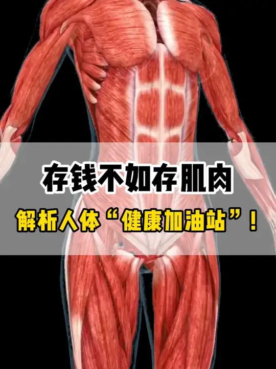 存钱不如存肌肉，解析人体“健康加油站”