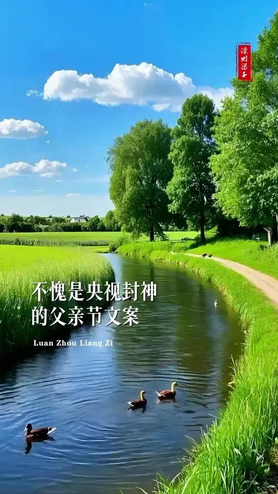 不愧是央视封神的父亲节文案