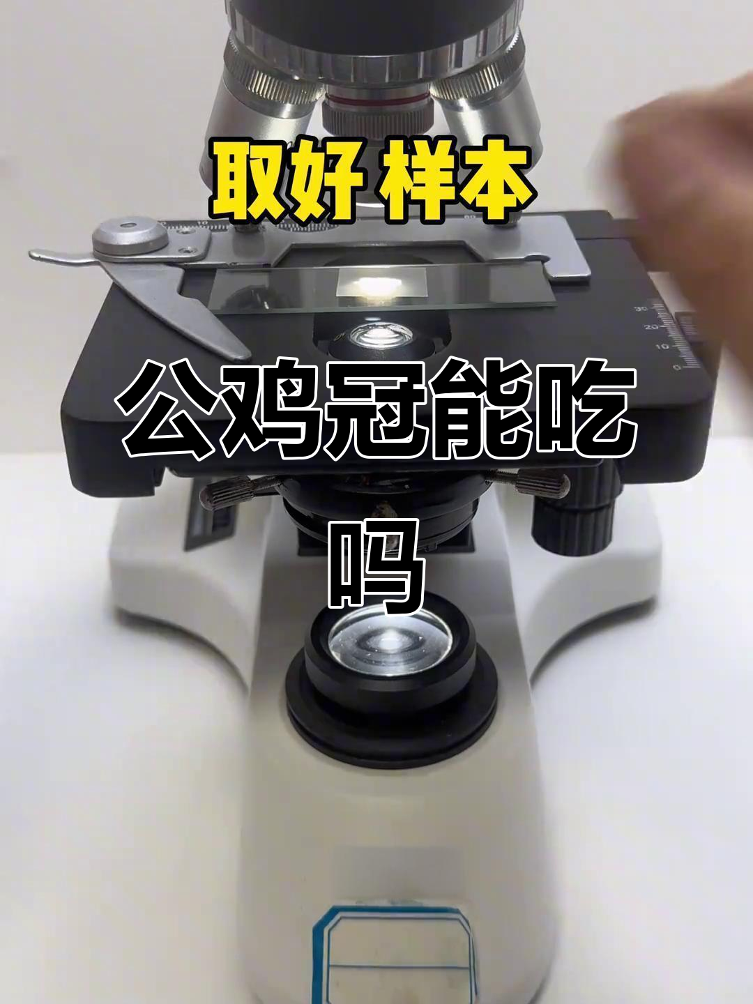 公鸡冠到底能不能吃?揭秘真相