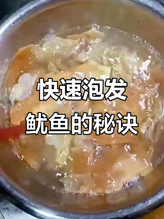干鱿鱼泡发技巧,烧四宝鲜香嫩滑