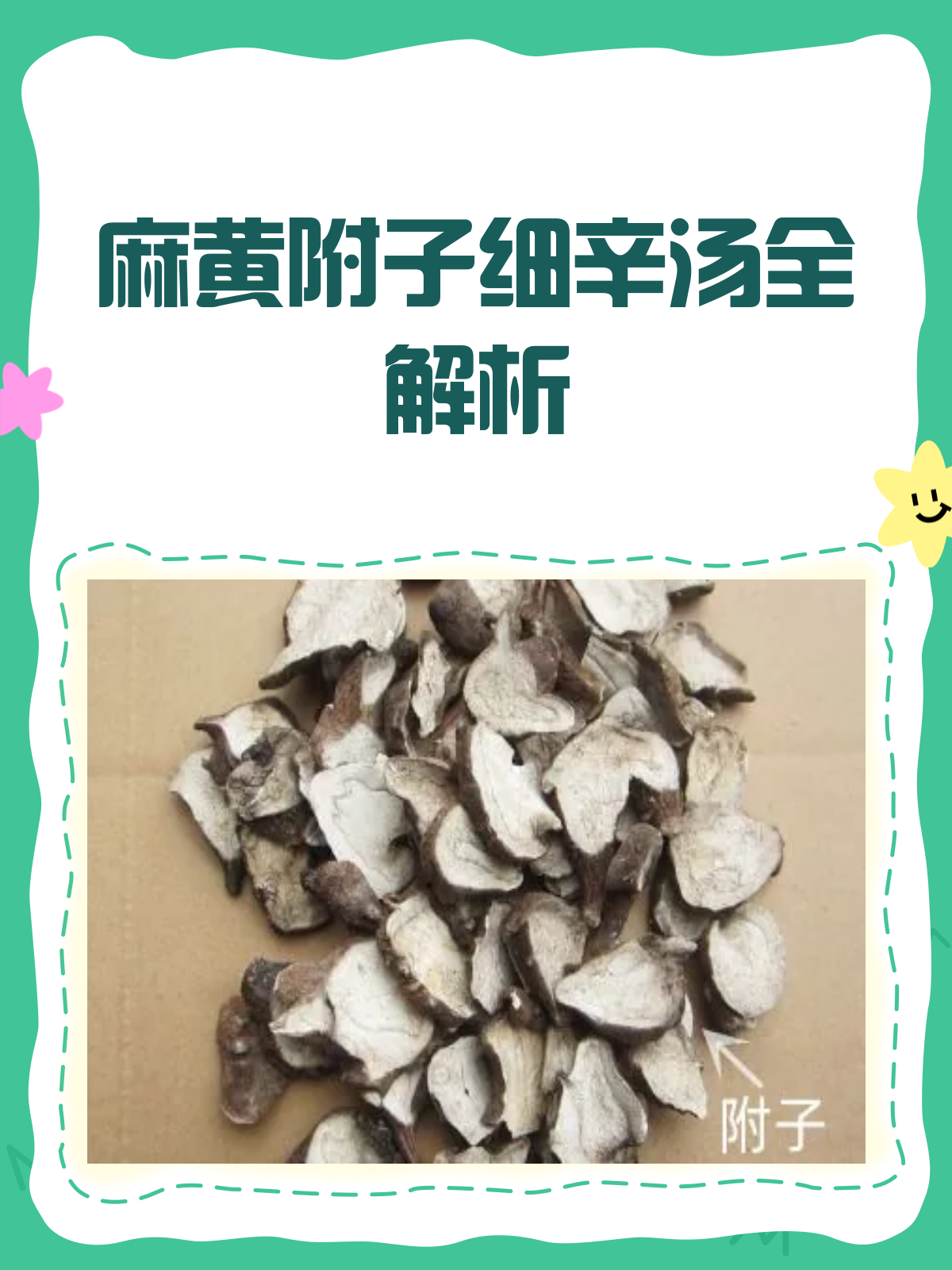 麻黄附子细辛汤全解析