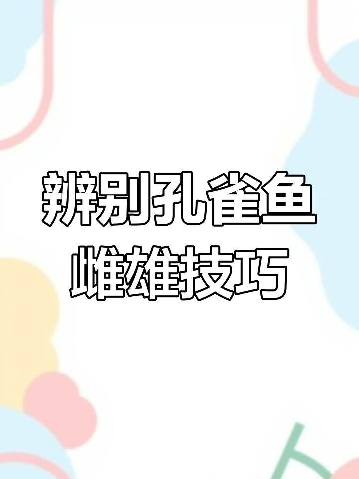 如何分辨孔雀鱼的公母？从底鳍看性别差异