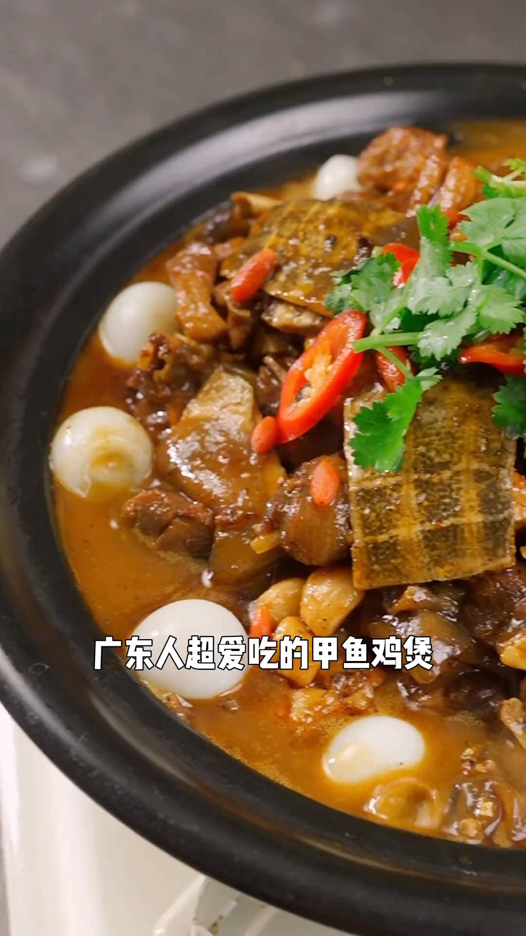 火遍广东餐馆甲鱼鸡煲做法太简单了