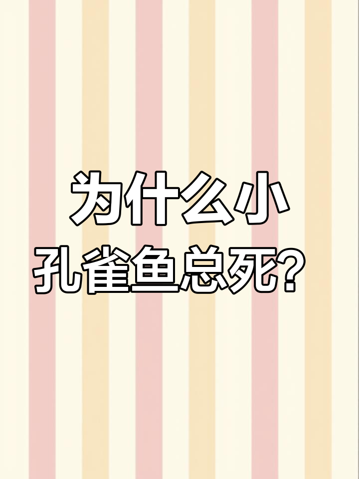 为什么小孔雀鱼总死?