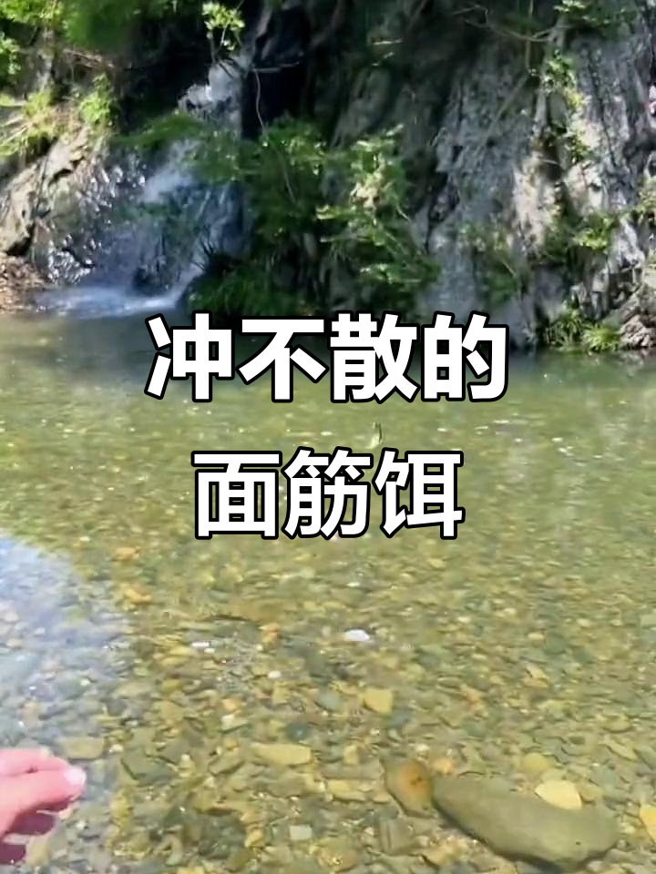 面筋饵料钓白条马口,溪流钓鱼必备秘制配方