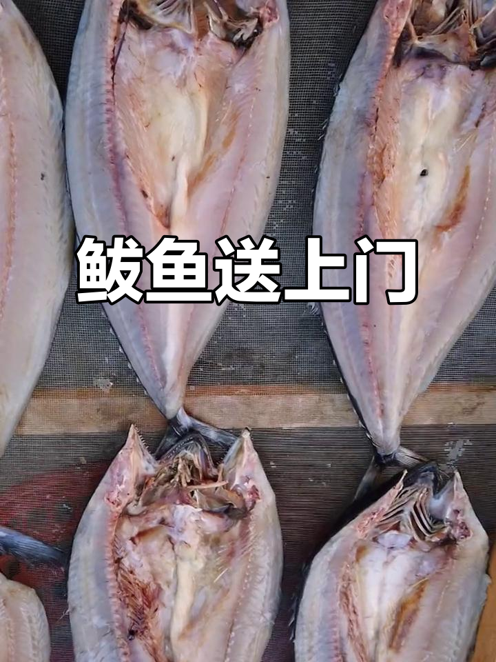 想吃正宗鲅鱼?联系我,直接送到你手上!