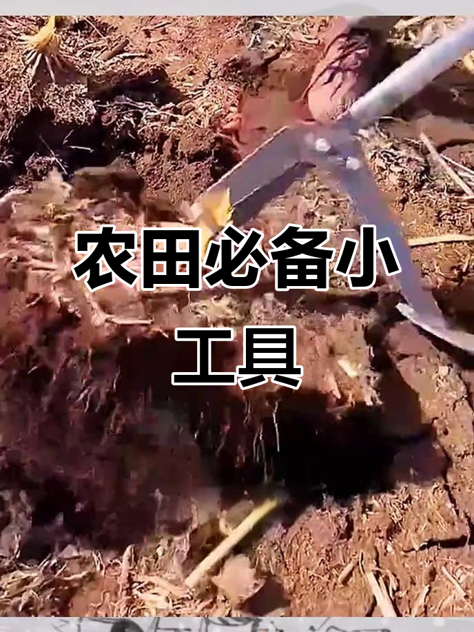 农田神器,轻松拔玉米根,效率翻倍不费力