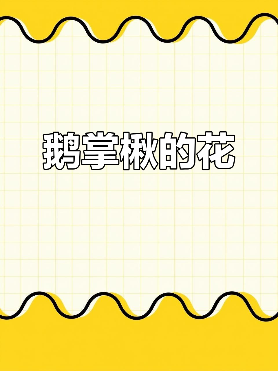 2025年4月19日 鹅掌楸树花:郁金香般树上奇观