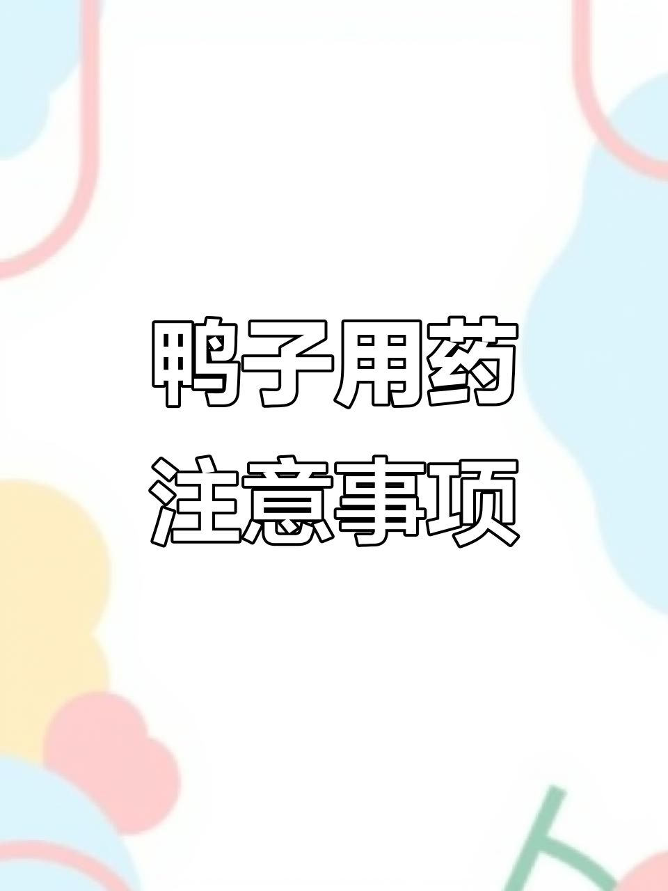 鸭子养殖开口药使用误区,避免这些药物伤害鸭苗