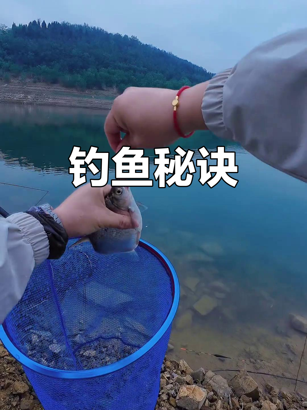 钓鱼成功关键:选位与技巧,位置对了,轻松上钩!