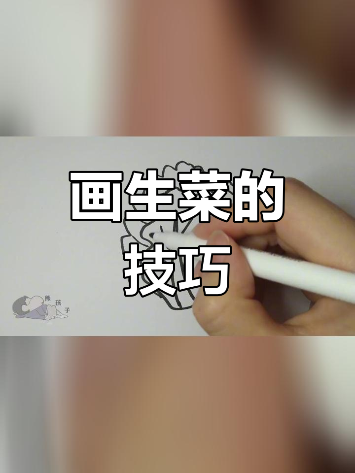 生菜简笔画教程,轻松学会