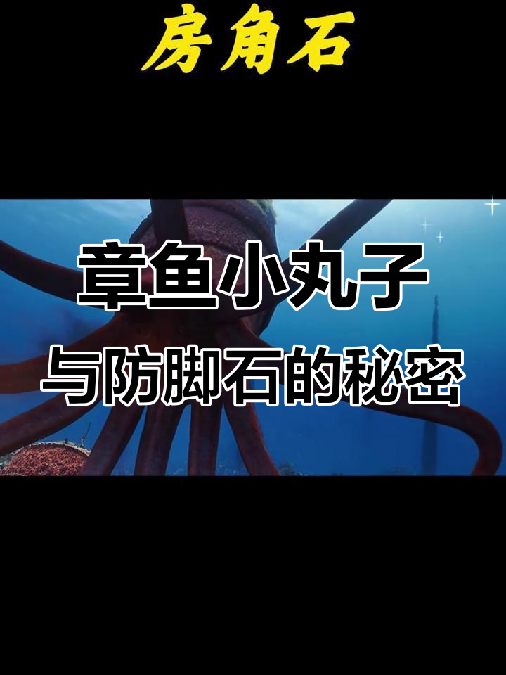 远古巨型章鱼，竟是铁板鱿鱼的祖先？
