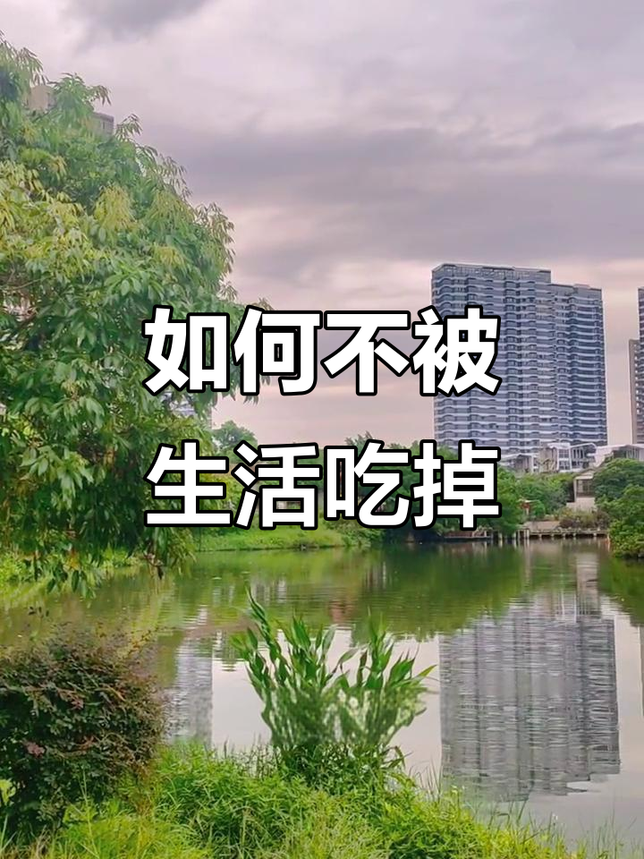 生活中的大鱼和小鱼:如何避免被吃掉,成为快乐的海盗