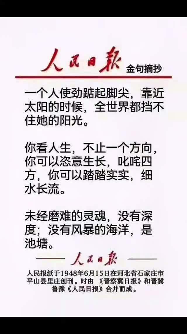 人民日报金句盘点 毒鸡汤 深夜文案 生活感悟 人间清醒语录