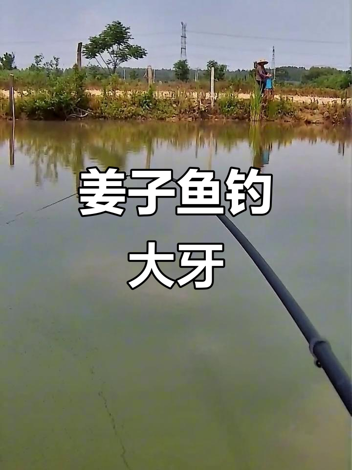 姜子牙钓鱼,愿者上钩!钓哥大显身手