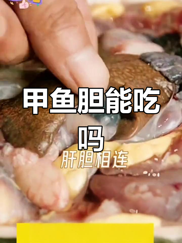 甲鱼胆的独特用途与去腥技巧