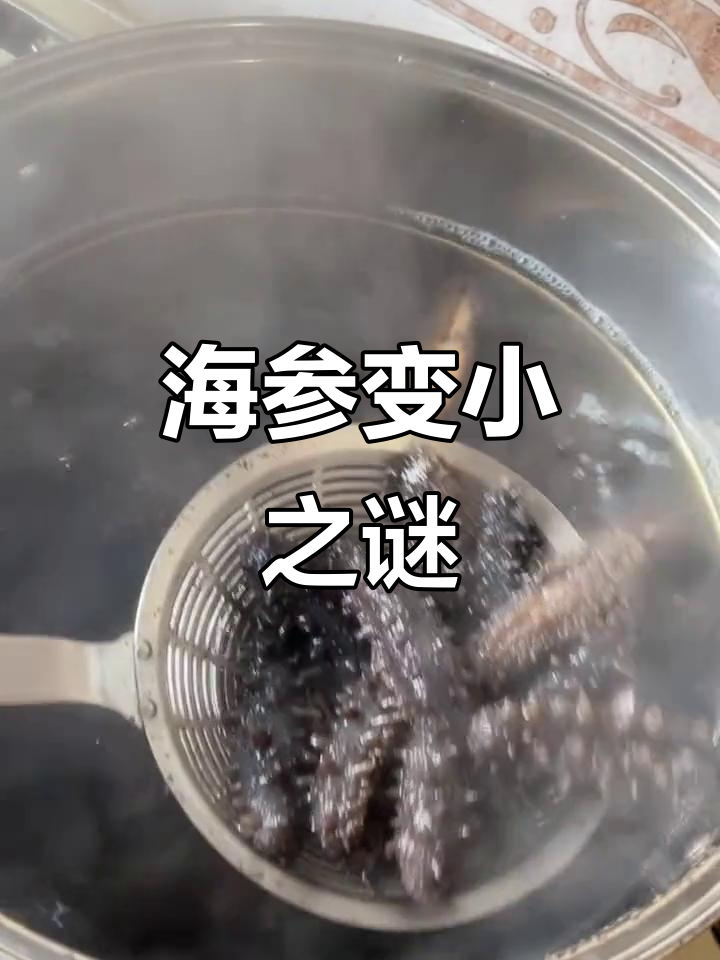 顾客用炒瓢煮海参,结果越煮越小!真是让人哭笑不得